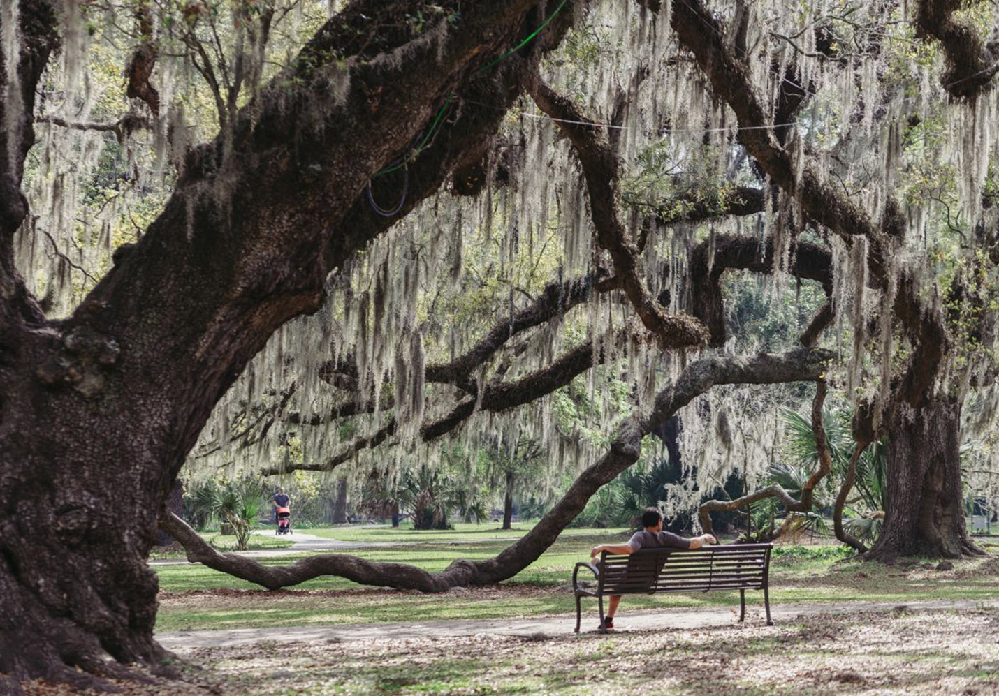 Green Trip in New Orleans: Exploring the City Parks